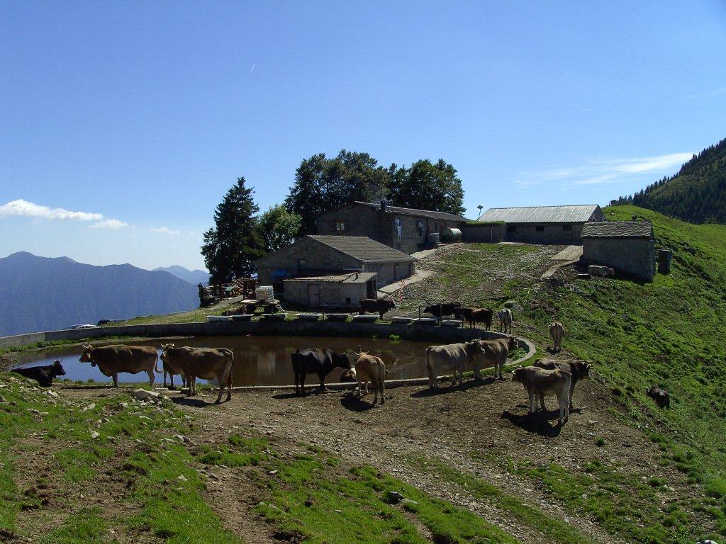 Malghe d''Italia..........